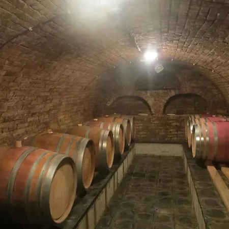 Casa de hóspedes U Vinařství