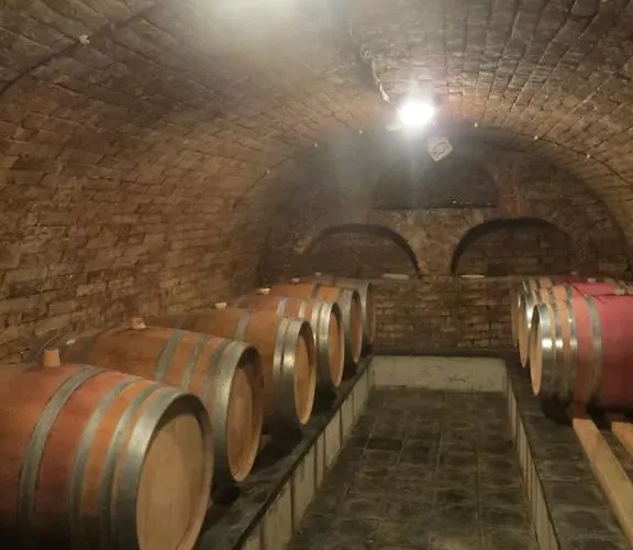 Maison d'hôtes U Vinarstvi
